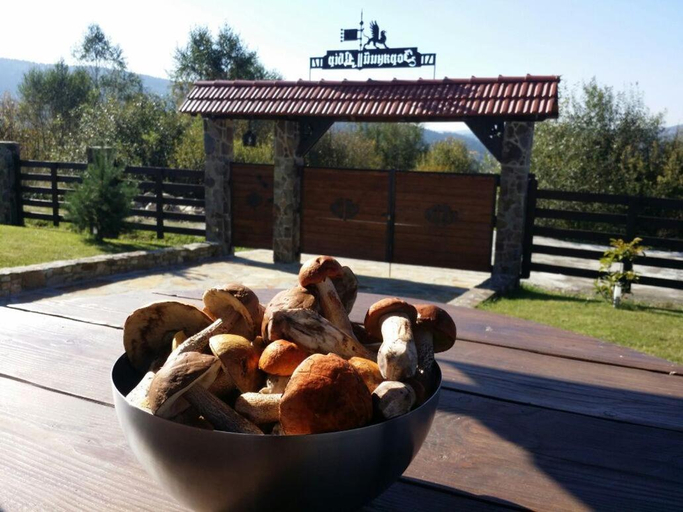 Food & Drinks 5, Villa Zoryany Dvir, Drohobyts'kyi