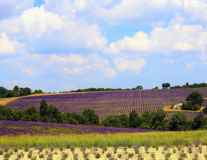 View from property 3, Holiday Home in Revest With Garden, Alpes-de-Haute-Provence