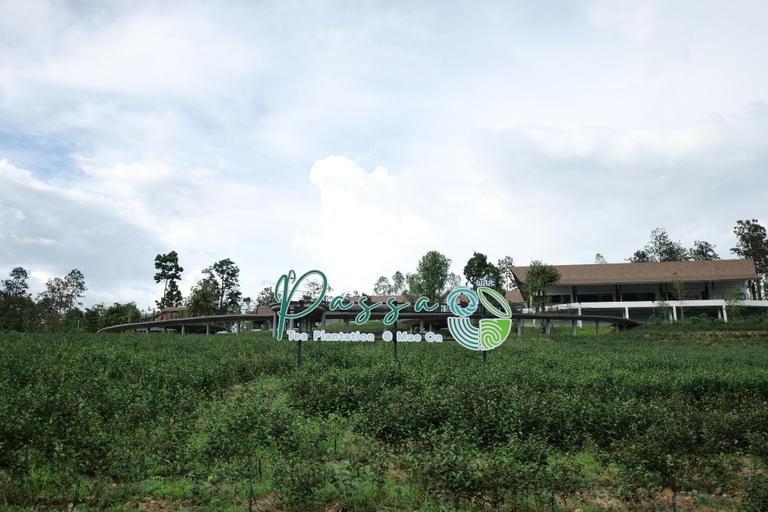 Others 4, PASSA Tea Plantation @Mae On, K. Mae On