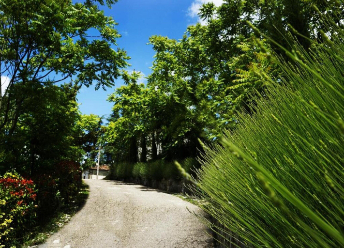 View from property 3, Farmhouse in Tuscany With Pool & Valley Views, Arezzo