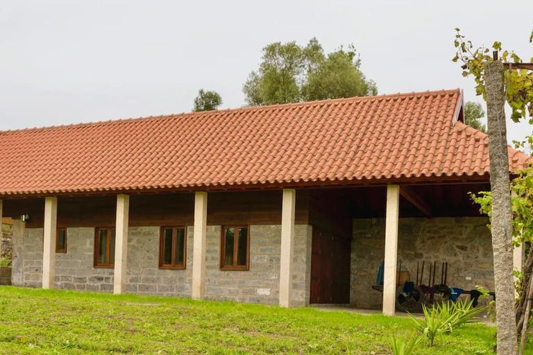 Others 5, Quinta da Bemposta, Vila Nova de Famalicão