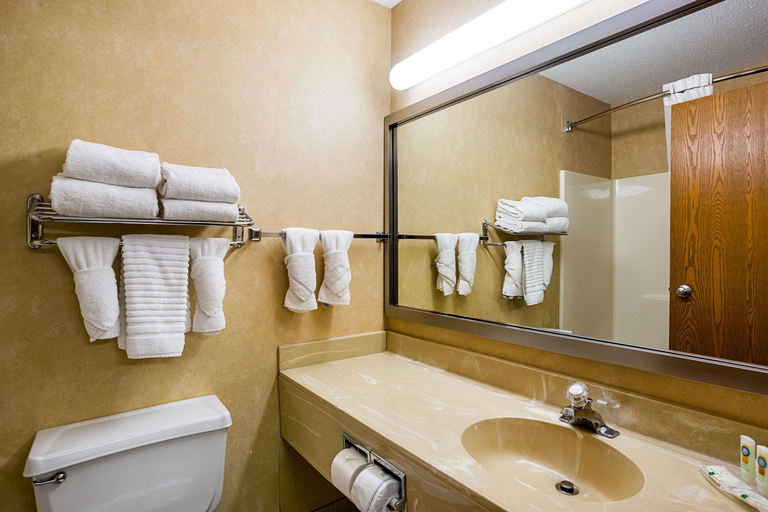 Bathroom 4, Quality Inn Mitchell Area, Davison