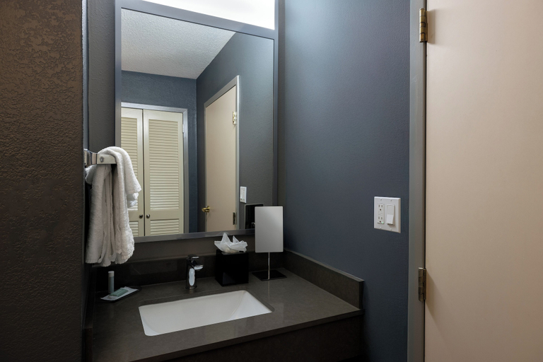 Bathroom 4, Courtyard North Charleston Airport/Coliseum, Charleston