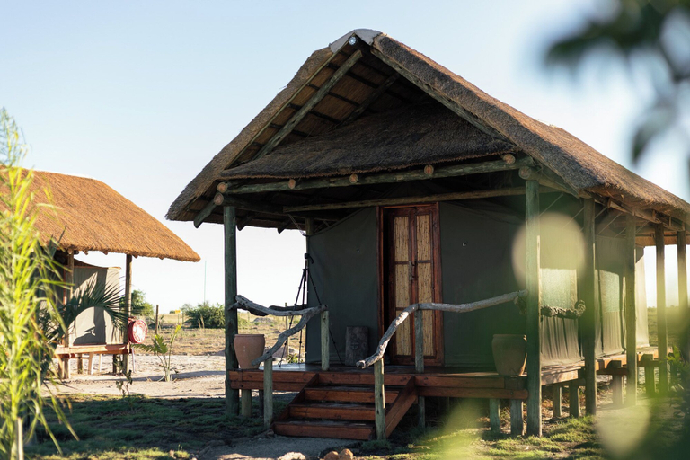 Exterior & Views 2, Munga Plains, Chobe