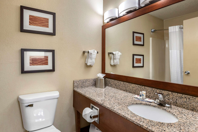 Bathroom 4, Comfort Inn Moline - Quad Cities, Rock Island