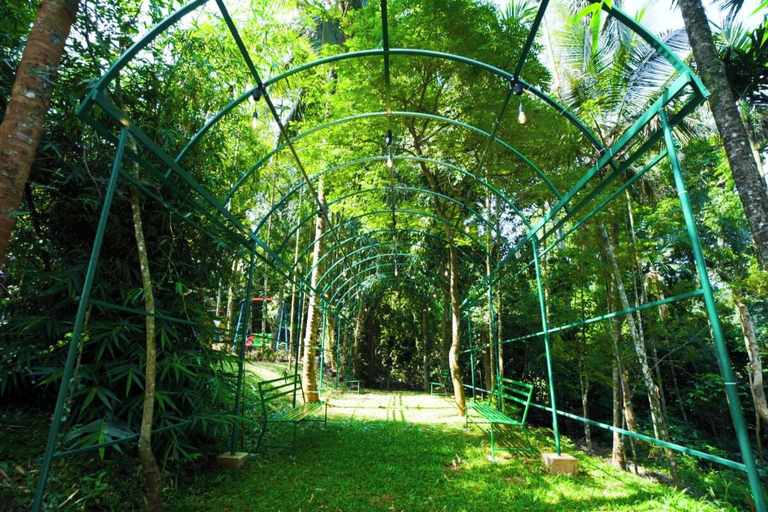 Others 5, Holiday Courtyard, Wayanad