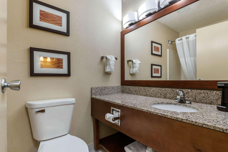 Bathroom 4, Comfort Inn Moline - Quad Cities, Rock Island