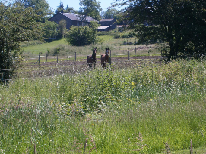 Others 4, Le Renard'or, Liège