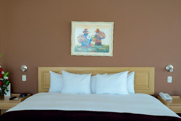 Others 4, Hotel Jose Antonio Puno, Puno