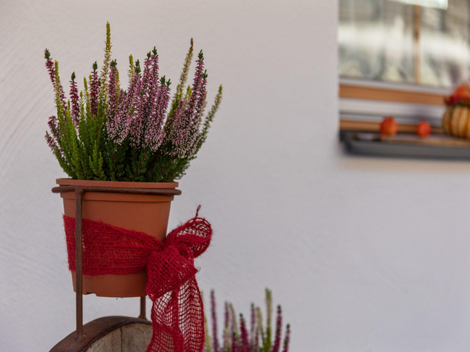 Others 2, Chalet in Wald near Ski Slopes, Zell am See