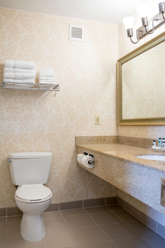 Bathroom, Country Inn & Suites by Radisson, Effingham, IL, Effingham
