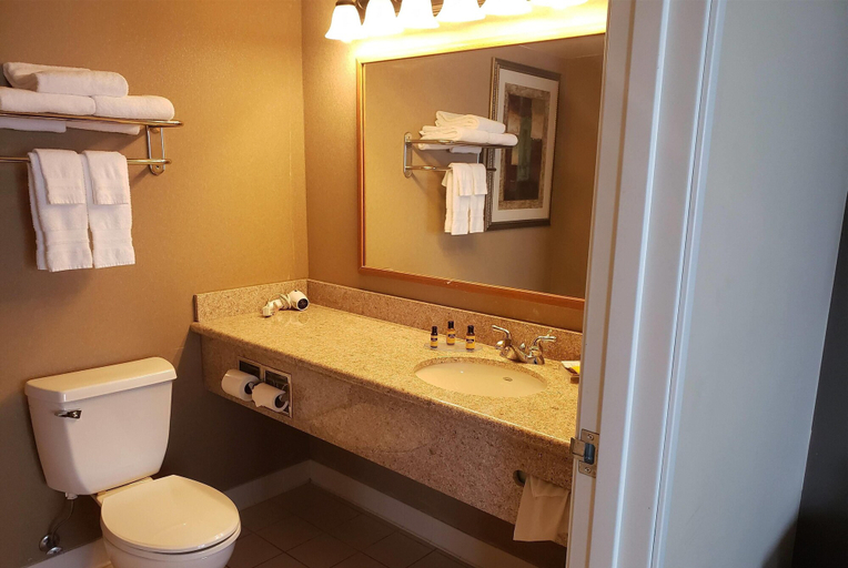 Bathroom 4, Wingate by Wyndham Coon Rapids, Anoka