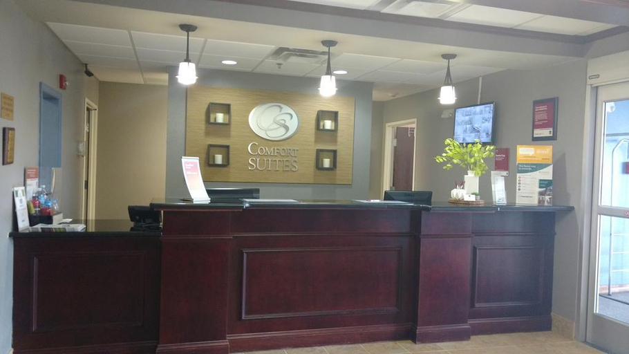 Public Area 2, Comfort Suites Abingdon I-81, Washington