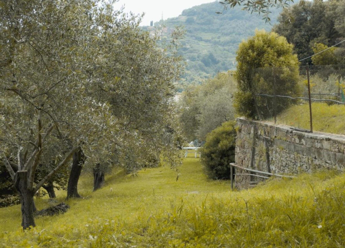 View from property 4, Hillside Retreat Near 5 Terre, Genova