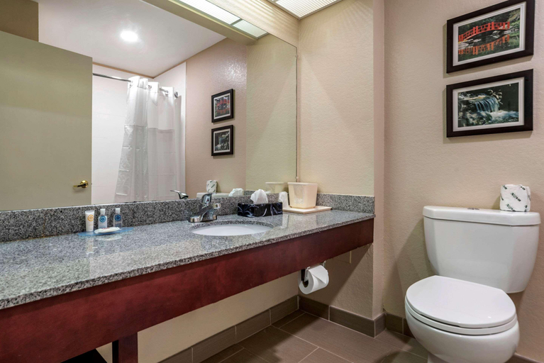 Bathroom 4, Comfort Inn Birmingham - Irondale, Jefferson
