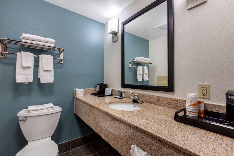 Bathroom 4, Sleep Inn & Suites Auburn, Lee