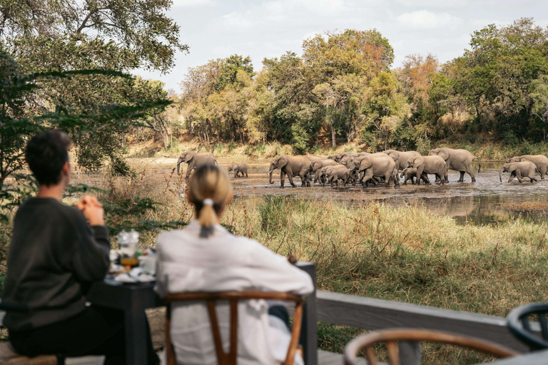 Others 1, Simbavati River Lodge, Ehlanzeni