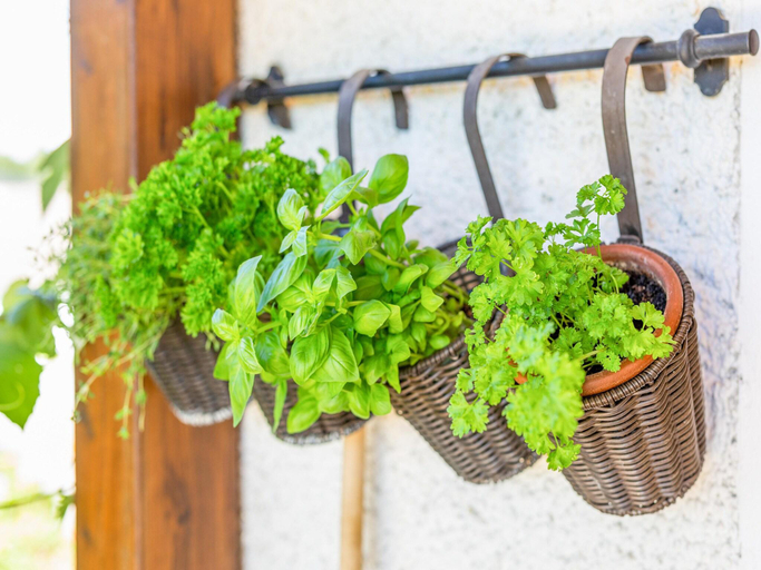 Others 5, Holiday Home in Styria near Thermal Spas, Weiz
