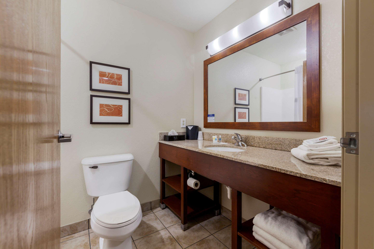 Bathroom 4, Comfort Suites Johnson Creek Conference Center, Jefferson