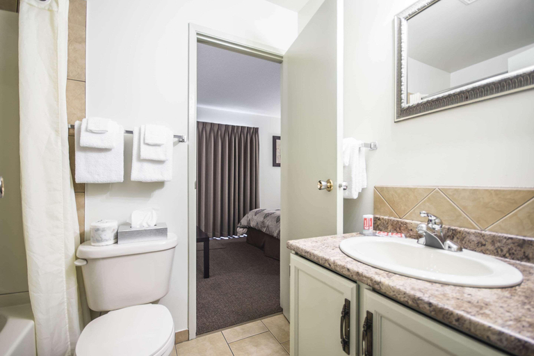 Bathroom 4, Econo Lodge Vernon Area, North Okanagan