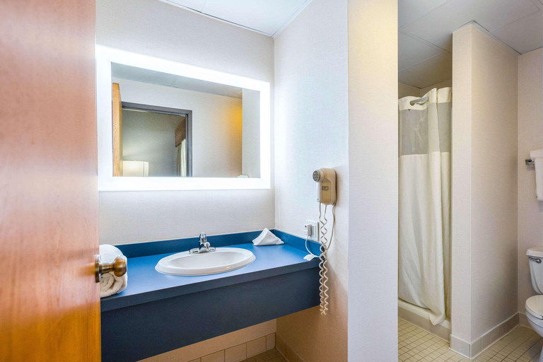 Bathroom 5, Quality Suites Lansing West, Eaton