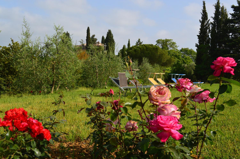 Others 5, Agriturismo La Fidanza, Siena