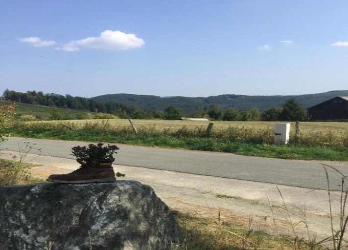 View from property 2, Veldenberg Nature Resort Stay, Antwerpen