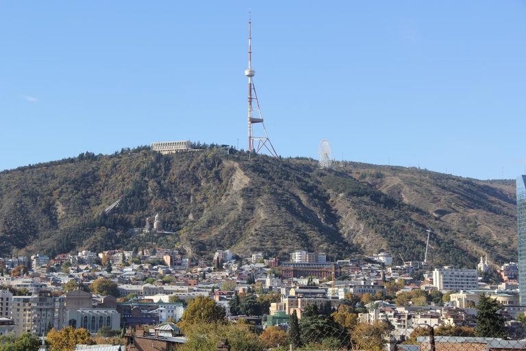 Others 4, Sani house., Tbilisi