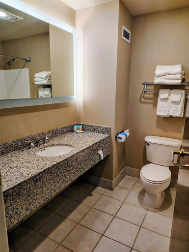 Bathroom 4, Medallion Inn & Suites, Snohomish
