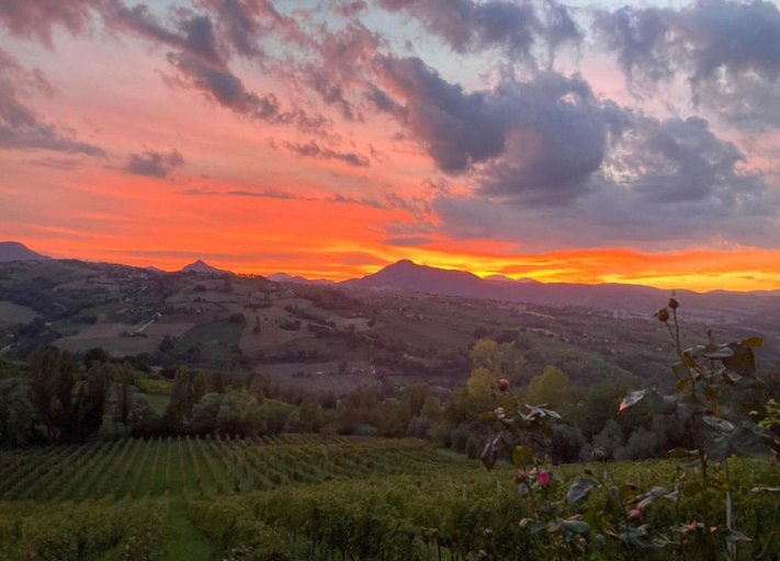 View from property 2, Terrace Retreat in the Marche, Pesaro E Urbino