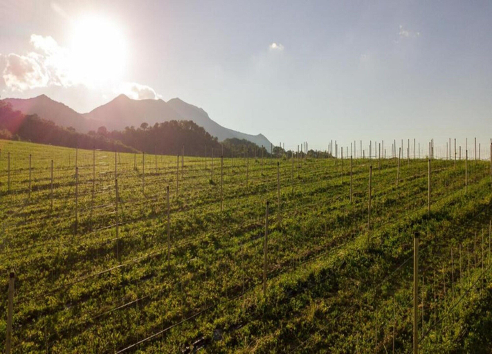 View from property 4, Terrace Retreat in the Marche, Pesaro E Urbino