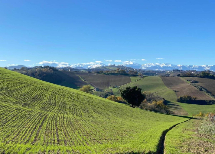 View from property 4, Relaxing Countryside Stay, Pesaro E Urbino