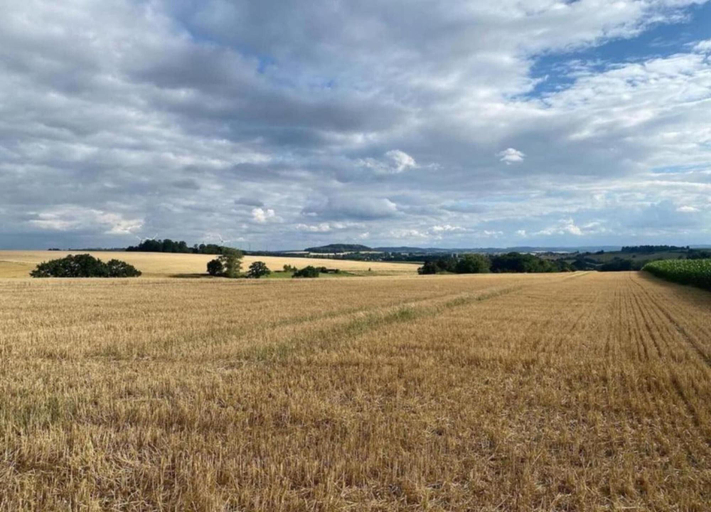 Others 5, Holiday Home in Germany With Garden Terrace, Höxter