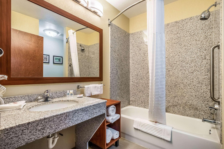 Bathroom 4, Comfort Suites Near Texas State University, Hays