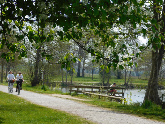 Others 4, Camping de la Chesnaie, Mayenne