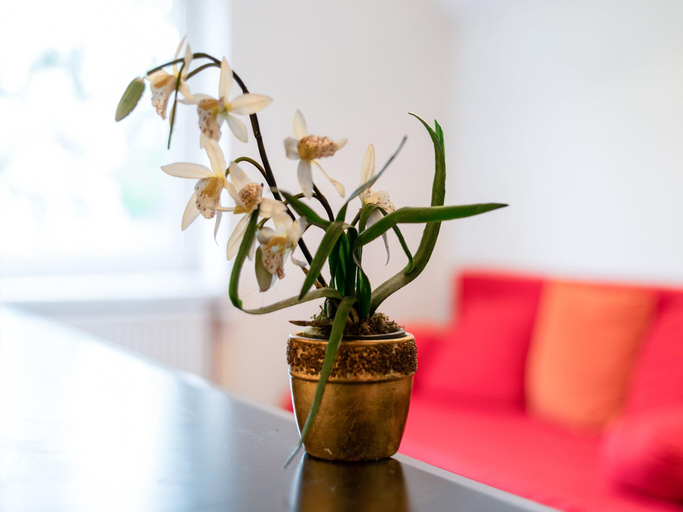 Others 5, Lively Holiday Home in Wien with Private Garden, Wien