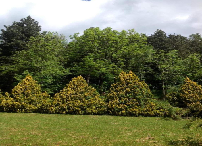 View from property 4, Pet-friendly Mountain Home, Trento