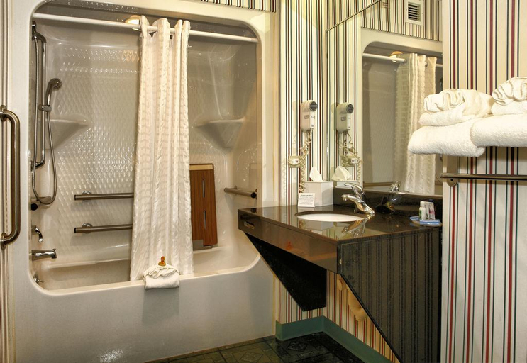 Bathroom 4, MainStay Suites Airport, Roanoke City