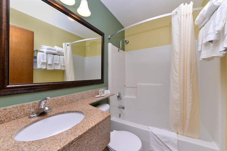 Bathroom 4, Quality Inn & Suites Elko, Elko