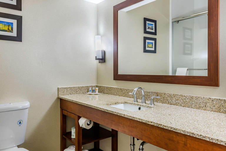 Bathroom 4, Comfort Suites Raleigh Walnut Creek, Wake