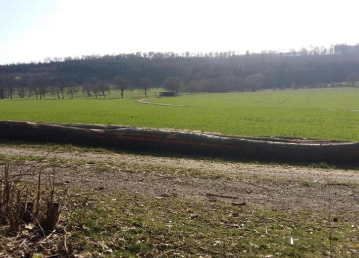 View from property 5, Holiday Home in Germany With Loggia, Höxter