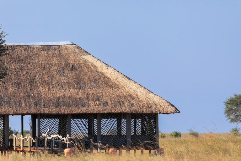 Others 5, Munga Plains, Chobe