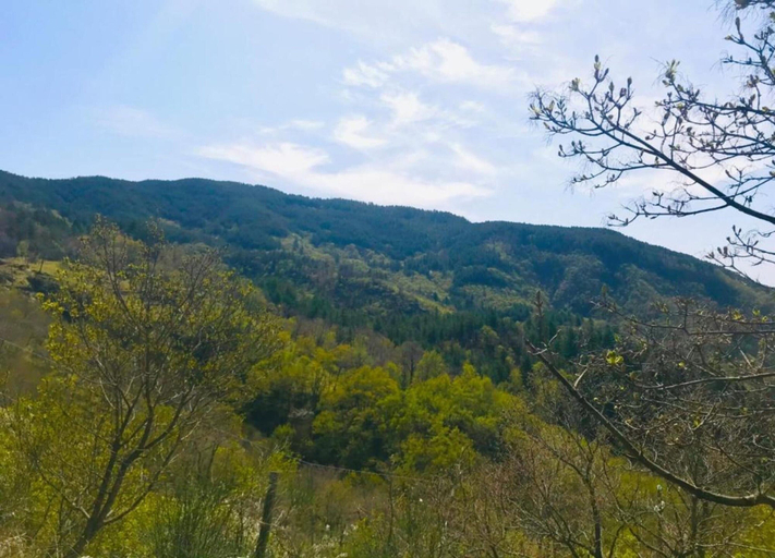 View from property 3, Apartment in Poppi With Shared Pool, Arezzo