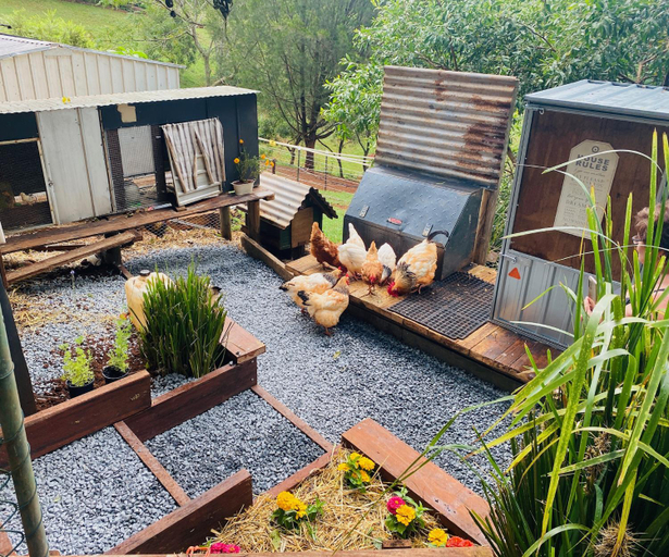 Exterior & Views 1, Doomben Ridge Farm House, Tamborine Mountain