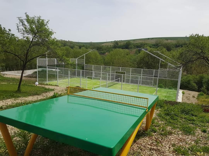 Sport & Beauty 2, Reichau Transilvania, Sebes
