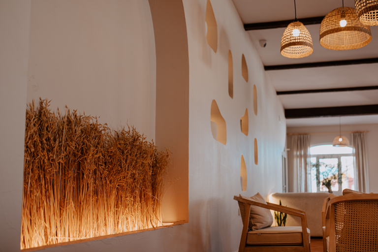 Public Area 2, Dunas de Doñana, Huelva