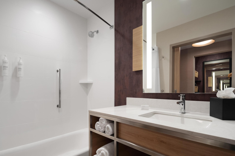 Bathroom 4, Hilton Garden INN Greenville University, Pitt