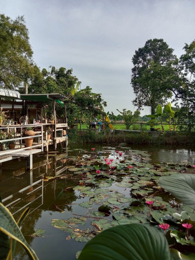 Others 5, Ingna Resort, Chanuman