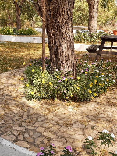 Others 5, Mamta's Home - Kensville Golf Living, Ahmadabad