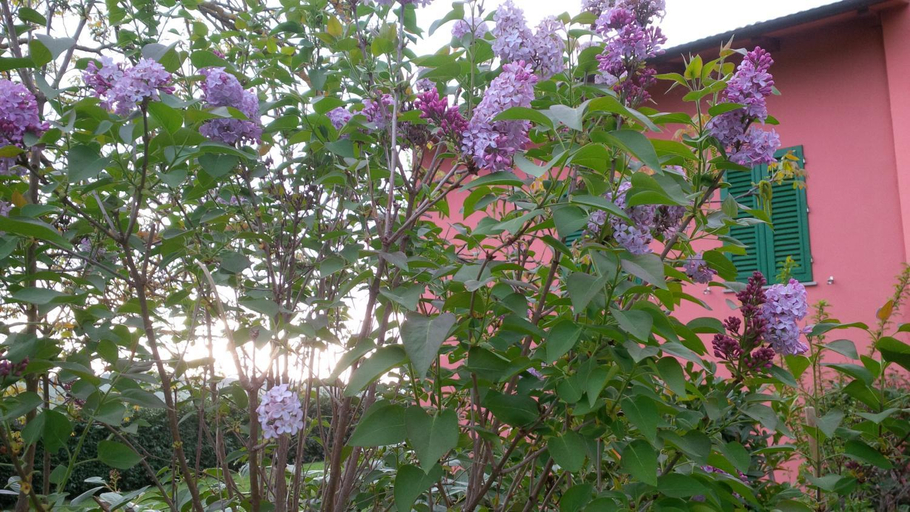 4, Agriturismo Le Caselle, Florence